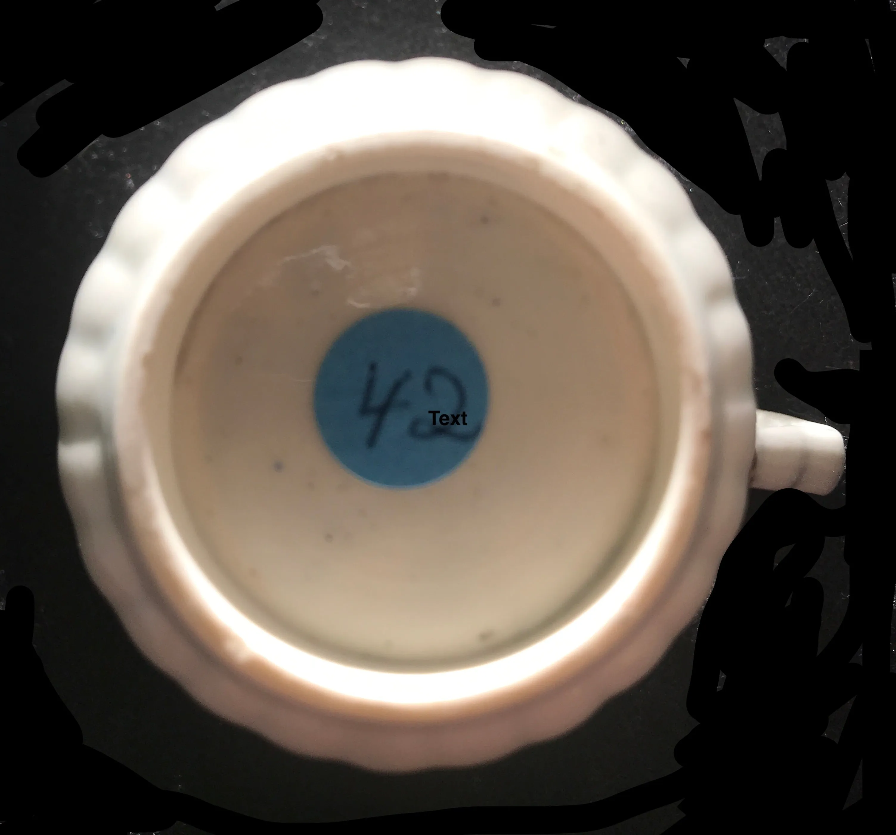 18th Century Worcester Porcelain Coffee Cup, Black Painted Flower.