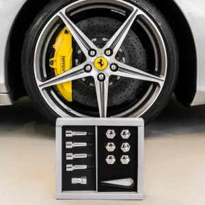 Anti-Theft Wheel Kit