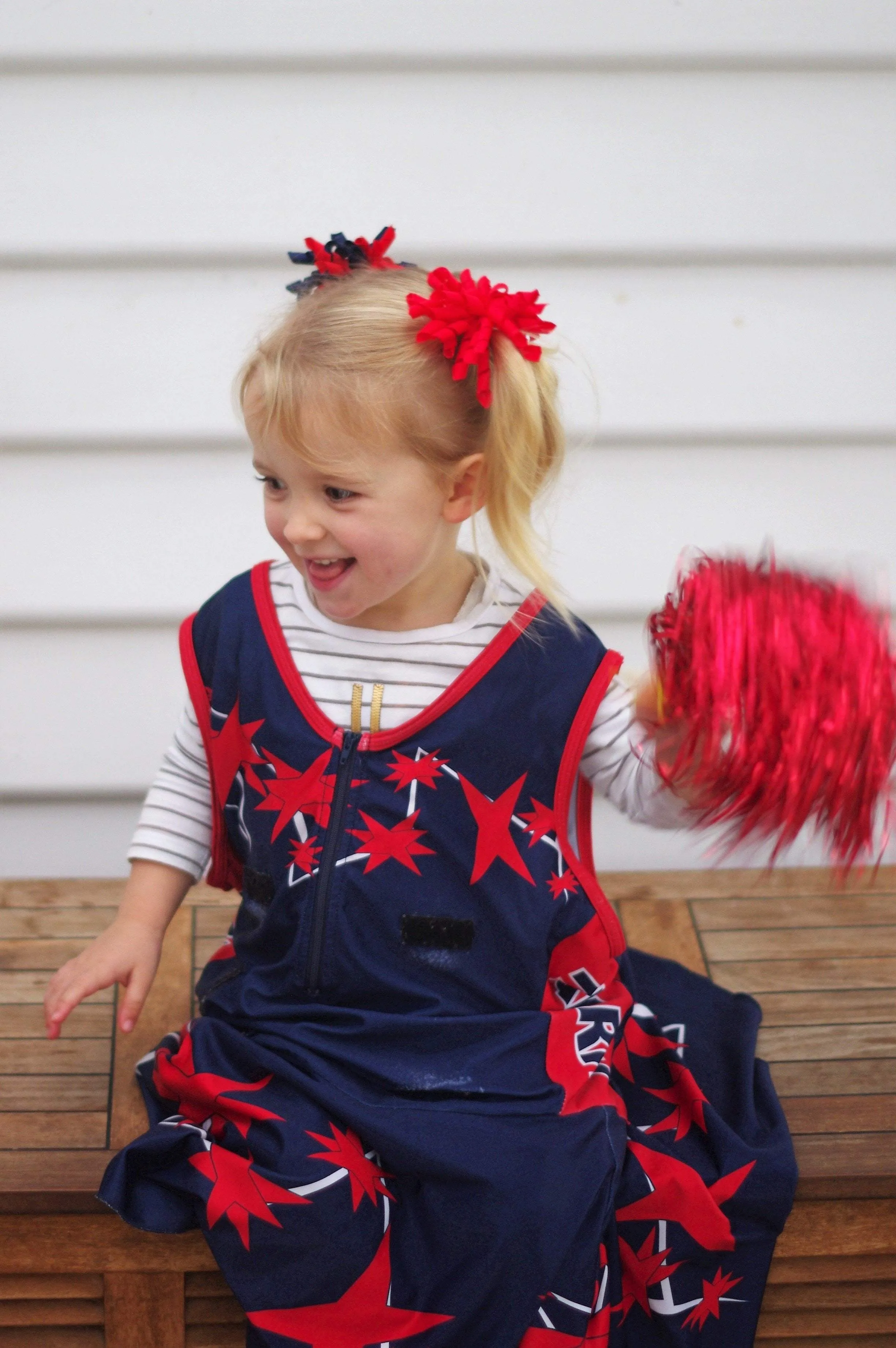 Blue Pom Poms (2pc)