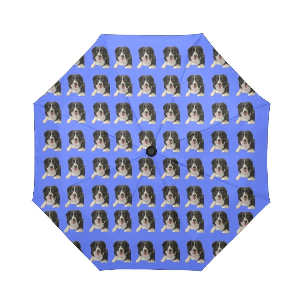 Border Collie Umbrella 2 - Automatic Suzanna