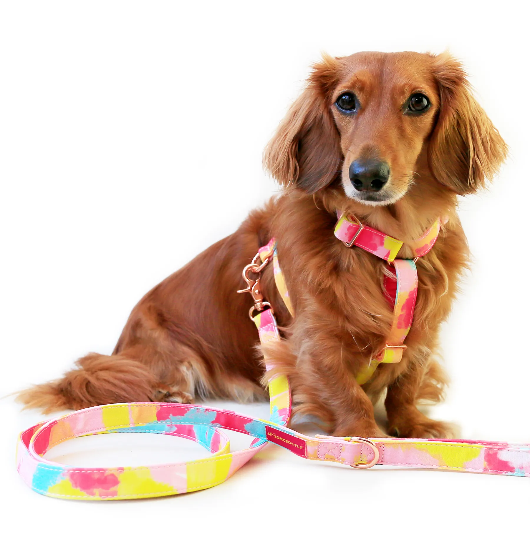 Bubblegum blush strap harness
