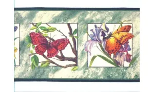 Butterfly b2084nf Wallpaper Border