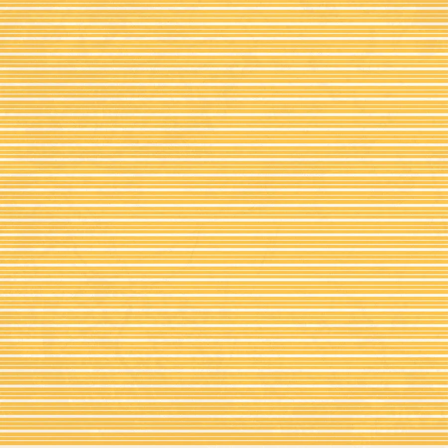 Carta Bella - Back To School - 12x12 Single Sheet / Bright Bookshelf
