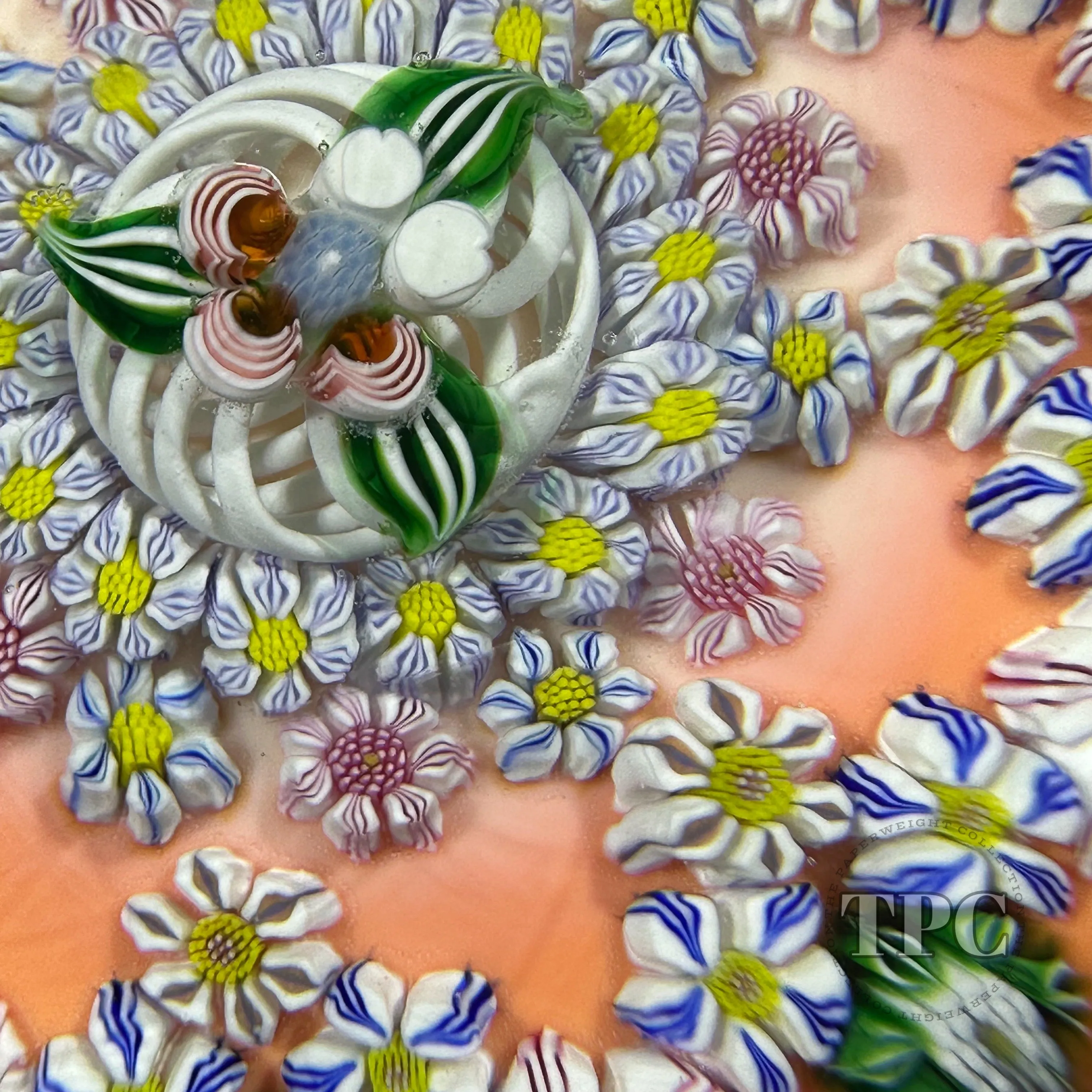 Collaborative Sue Fox & Drew Ebelhare 2016 Glass Art Paperweight Patterned Complex Millefiori on Peach Colored Ground