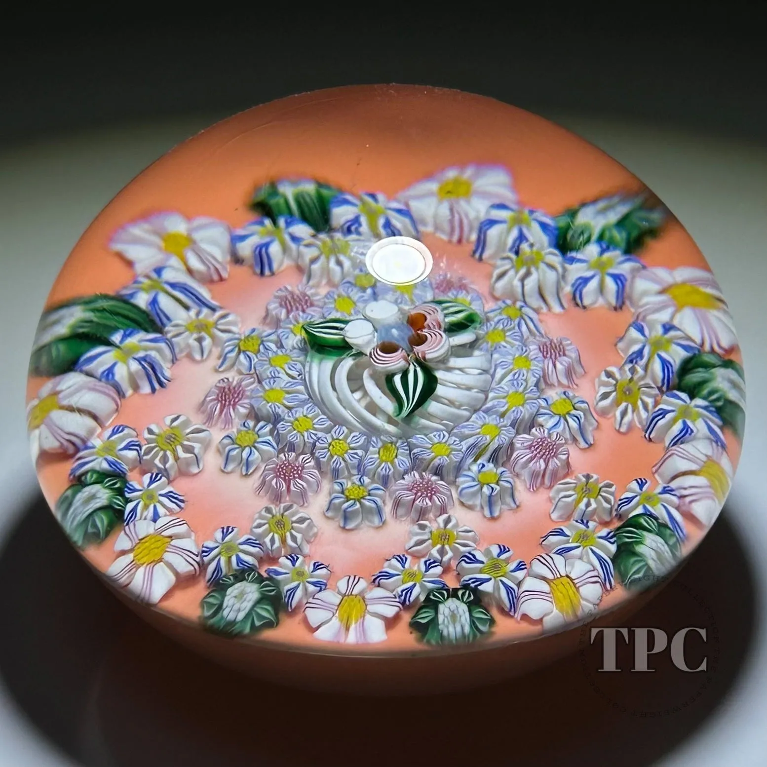 Collaborative Sue Fox & Drew Ebelhare 2016 Glass Art Paperweight Patterned Complex Millefiori on Peach Colored Ground