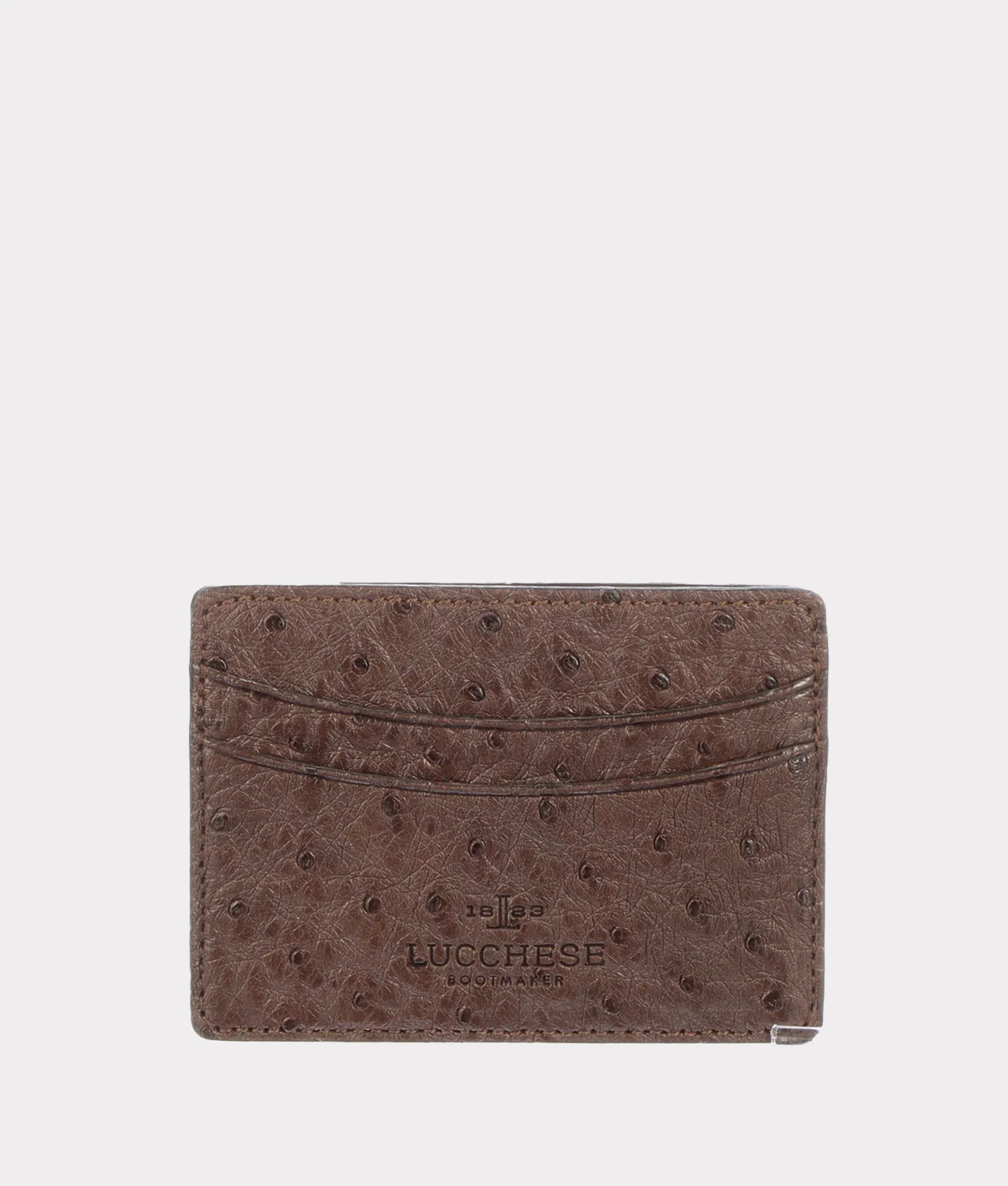 Credit Card Case – Ostrich :: Sienna