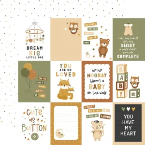 Echo Park - Special Delivery Baby - 12x12 Single Sheet / 3x4 Journaling Cards
