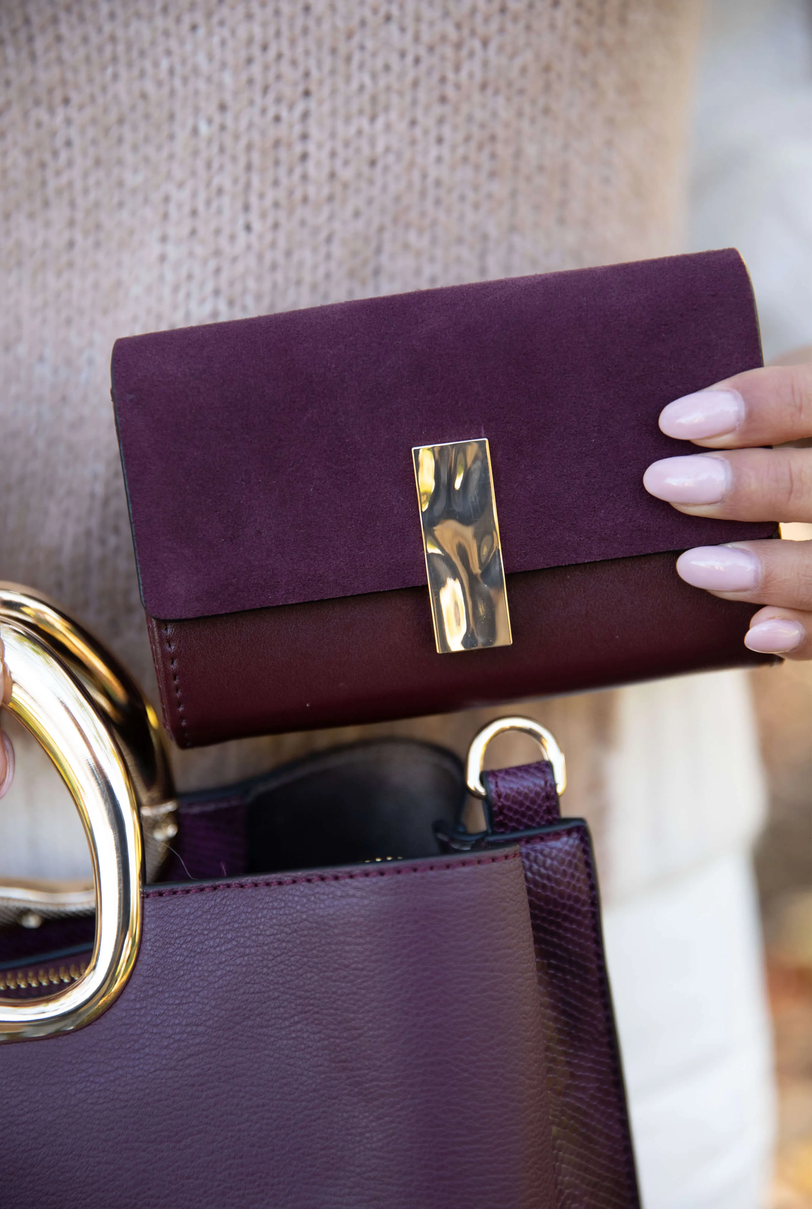 Frederica Plum Small Purse