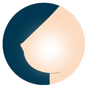 IT  Breast Option - Hollow Breasts