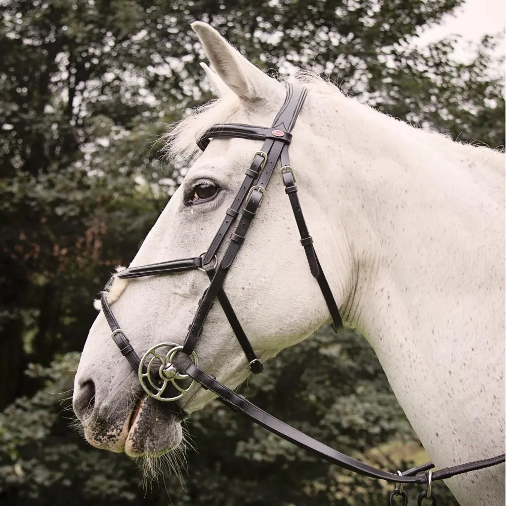 John Whitaker Eastwood Mexican Bridle (inc. 9-Loop Rubber Reins)
