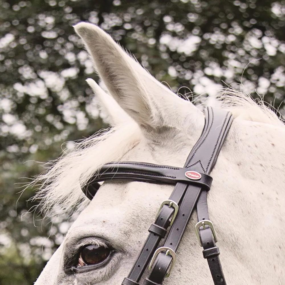 John Whitaker Eastwood Mexican Bridle (inc. 9-Loop Rubber Reins)