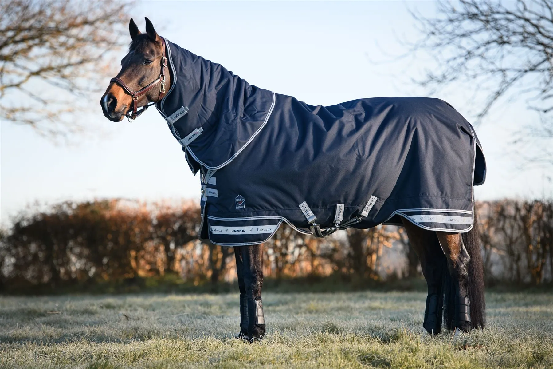 LeMieux Arika Storm-Tek Rug 350g