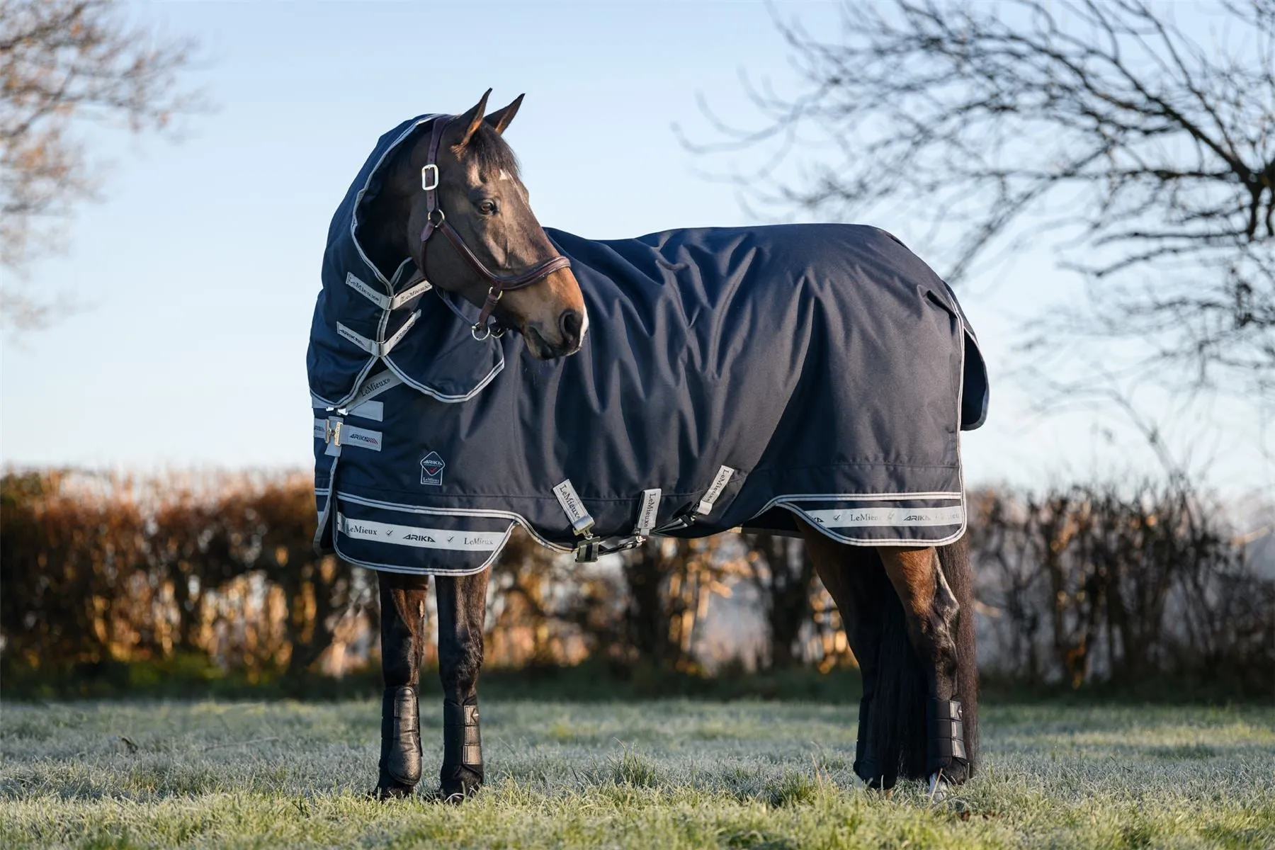 LeMieux Arika Storm-Tek Rug 350g