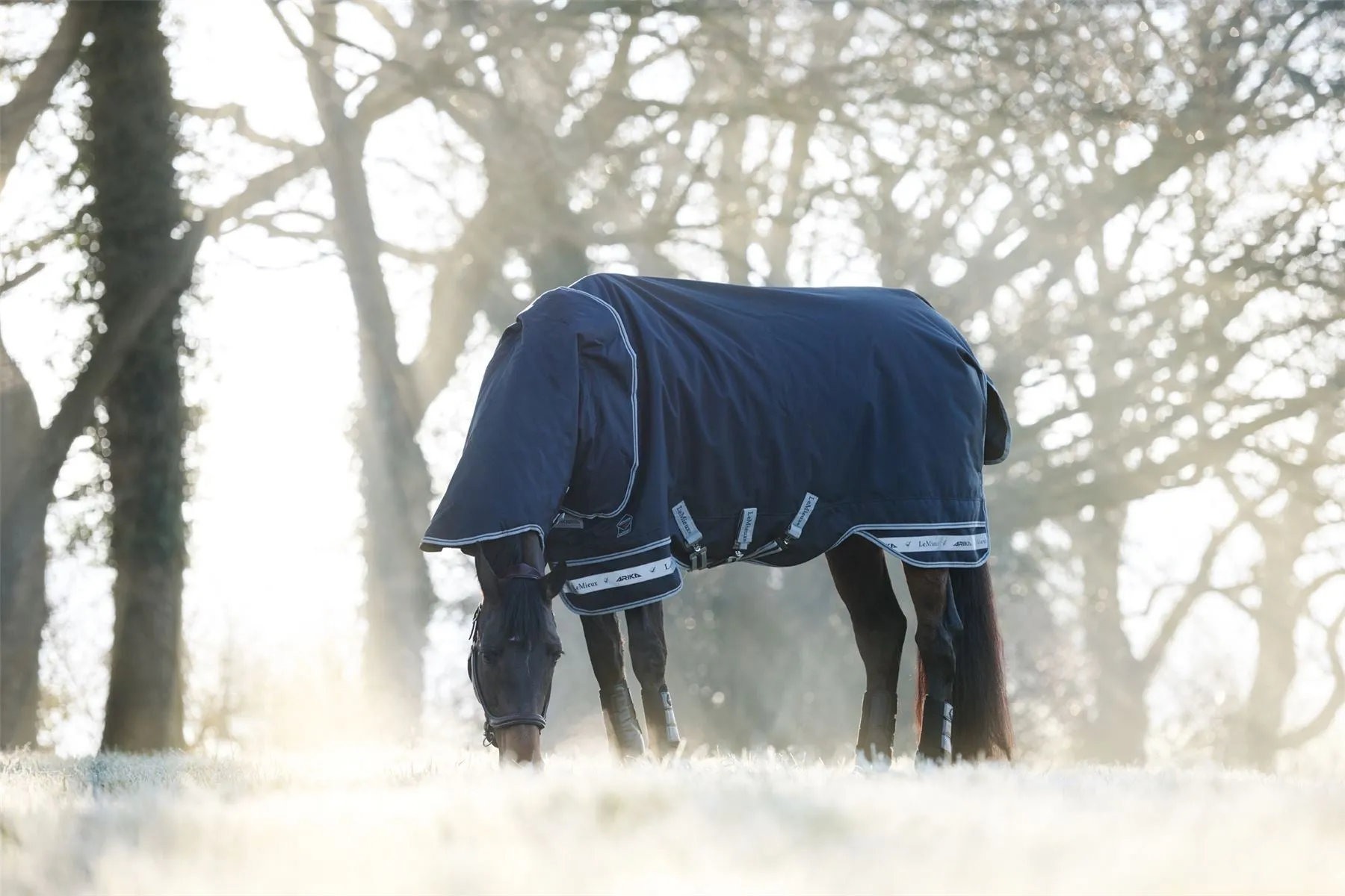 LeMieux Arika Storm-Tek Rug 350g