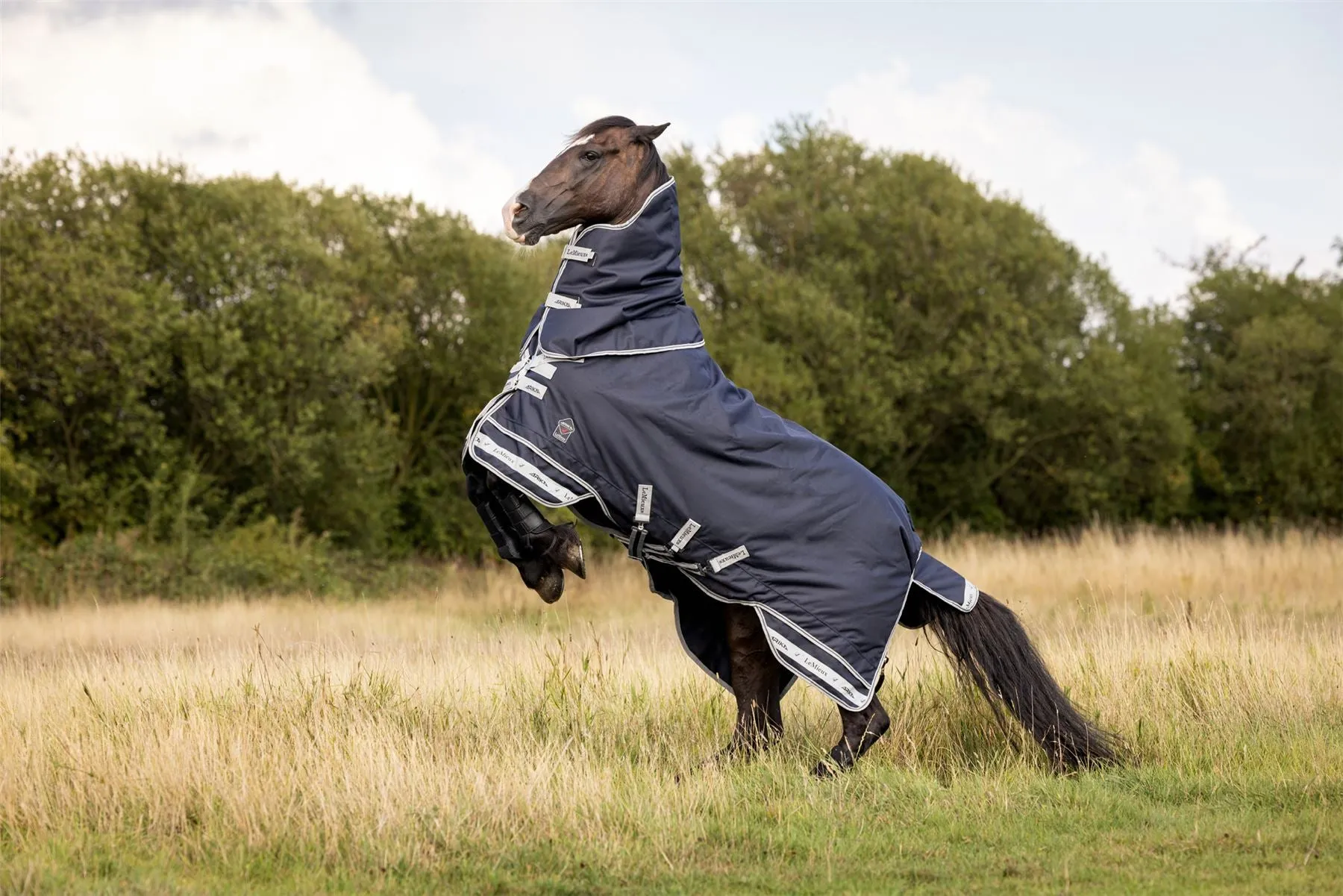 LeMieux Arika Storm-Tek Rug 350g