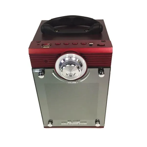 LI Battery Powered Portable Speaker With USB/TF/AUX/FM Radio