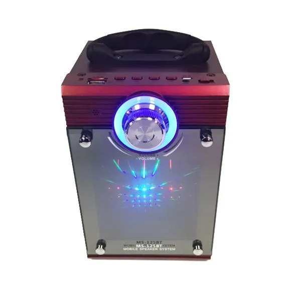 LI Battery Powered Portable Speaker With USB/TF/AUX/FM Radio