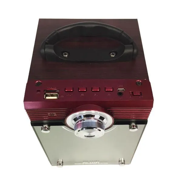 LI Battery Powered Portable Speaker With USB/TF/AUX/FM Radio