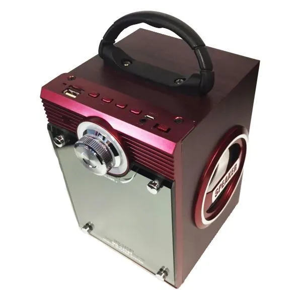 LI Battery Powered Portable Speaker With USB/TF/AUX/FM Radio