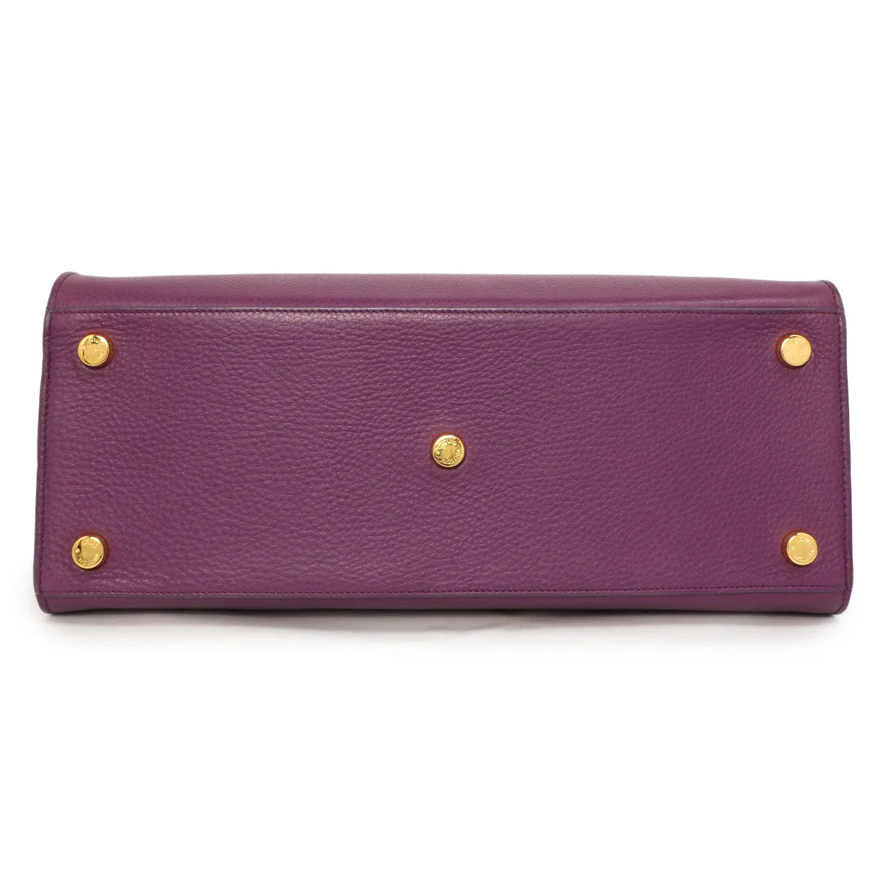 Louis Vuitton Haute Maroquinerie Neo  Steamer Bag