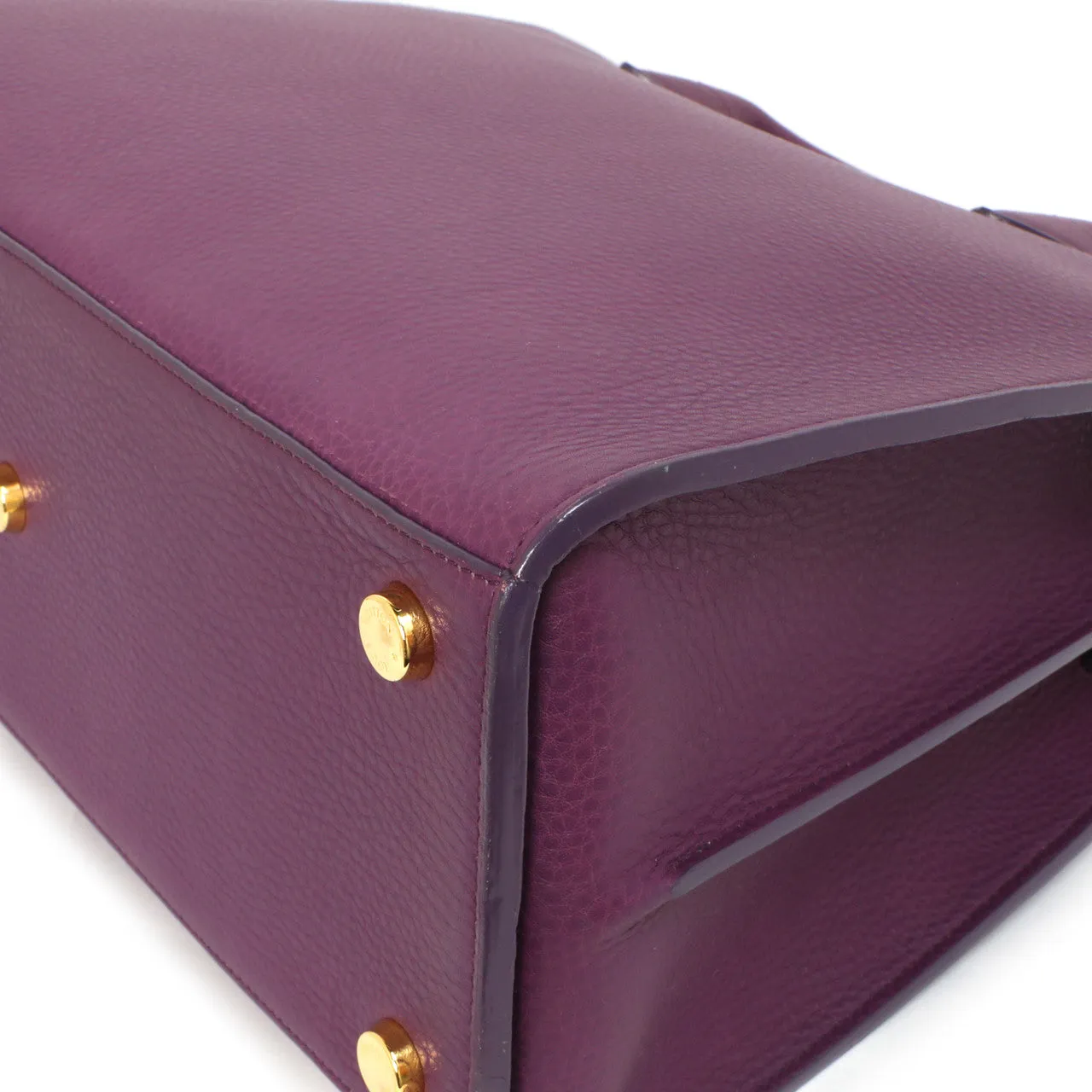 Louis Vuitton Haute Maroquinerie Neo  Steamer Bag