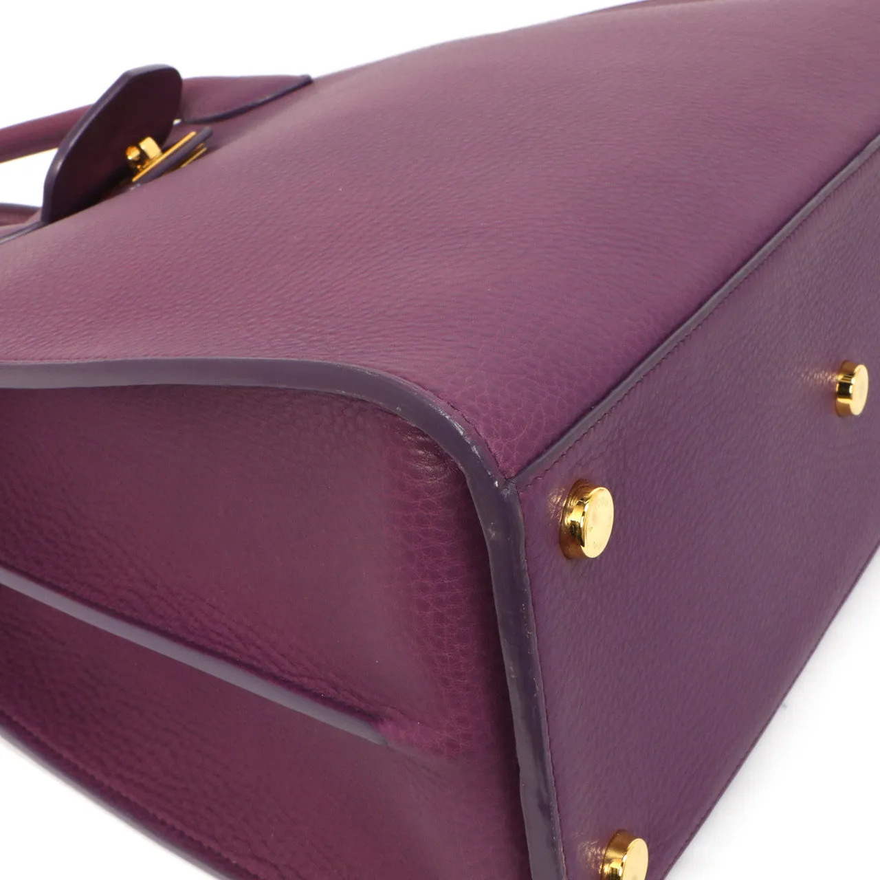 Louis Vuitton Haute Maroquinerie Neo  Steamer Bag