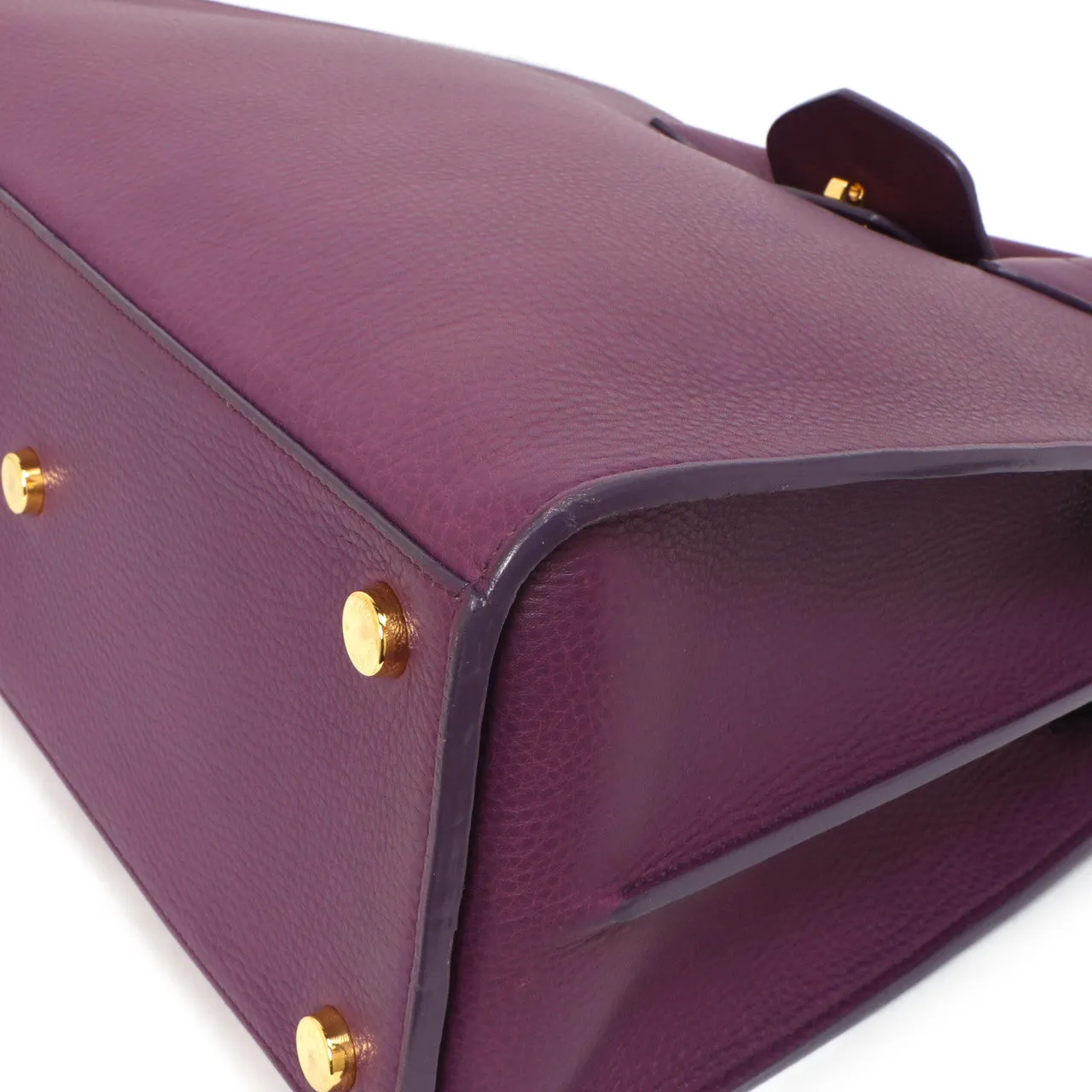 Louis Vuitton Haute Maroquinerie Neo  Steamer Bag