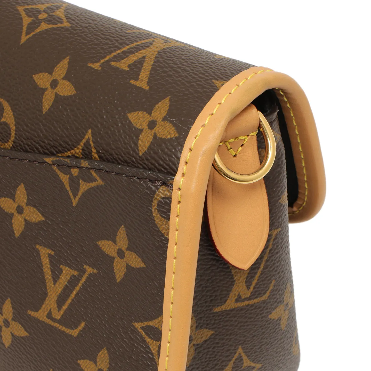 Louis Vuitton Monogram Diane