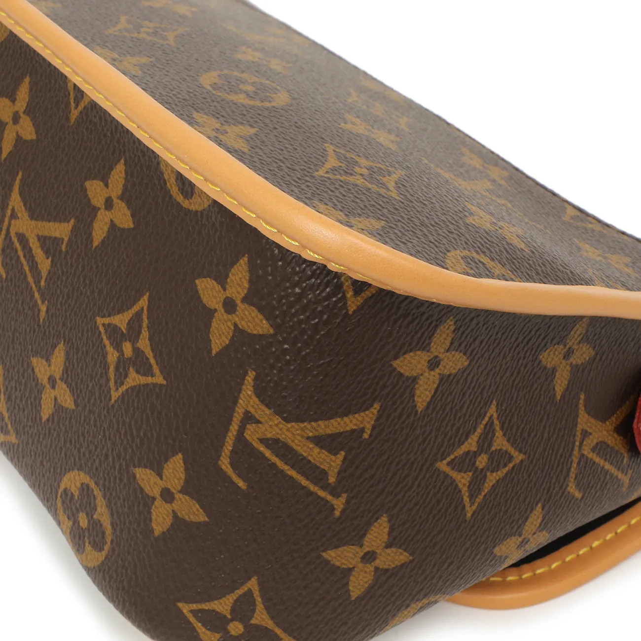 Louis Vuitton Monogram Diane