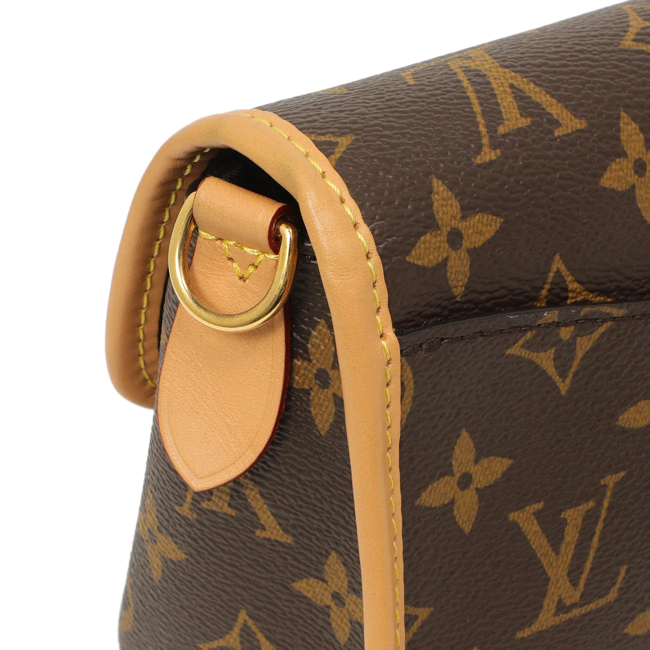 Louis Vuitton Monogram Diane