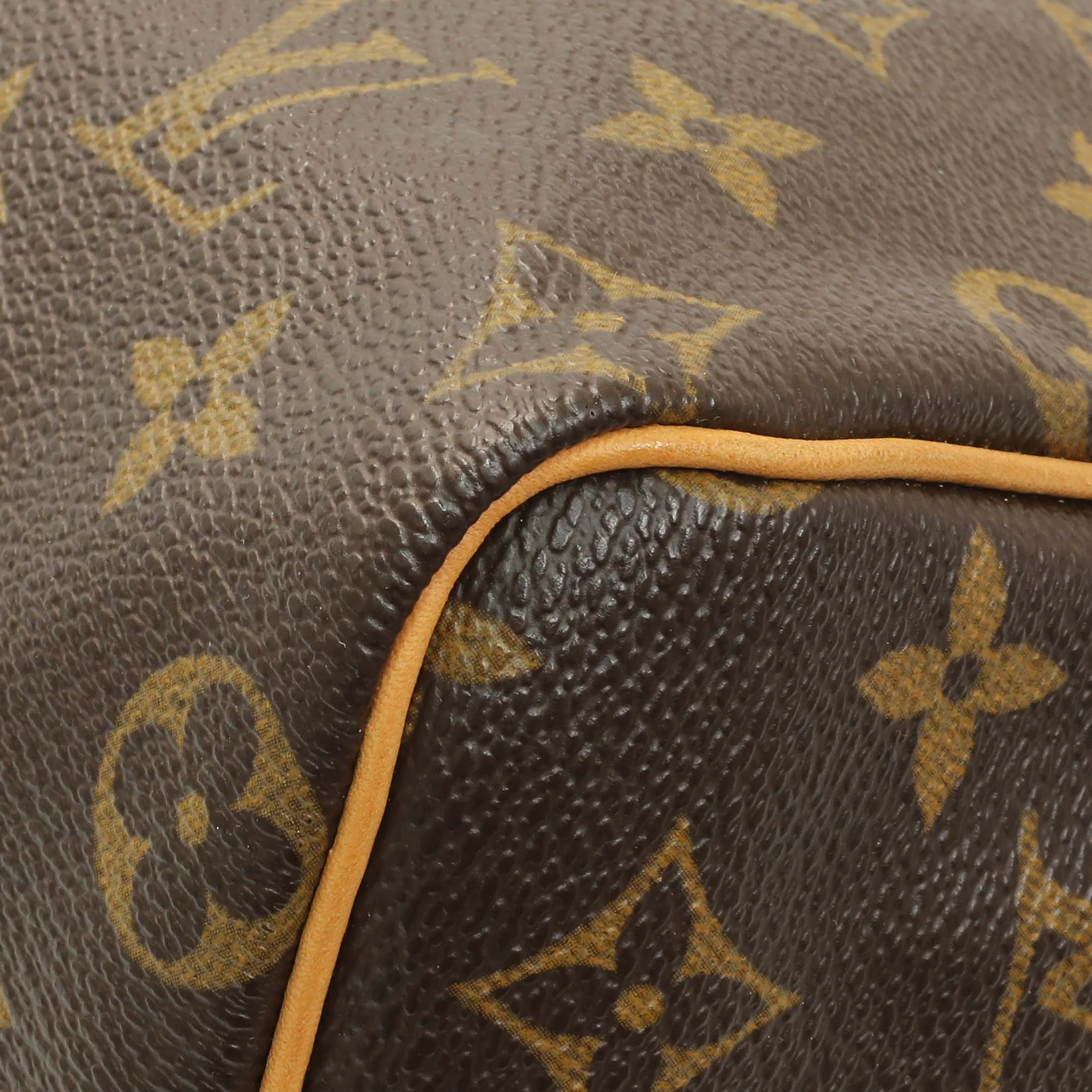 Louis Vuitton Monogram Speedy 25