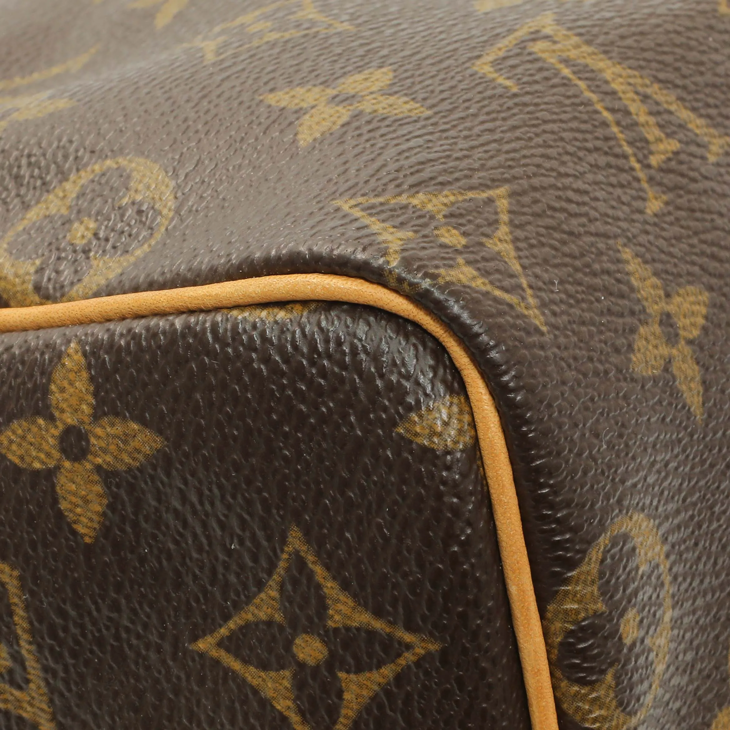 Louis Vuitton Monogram Speedy 25