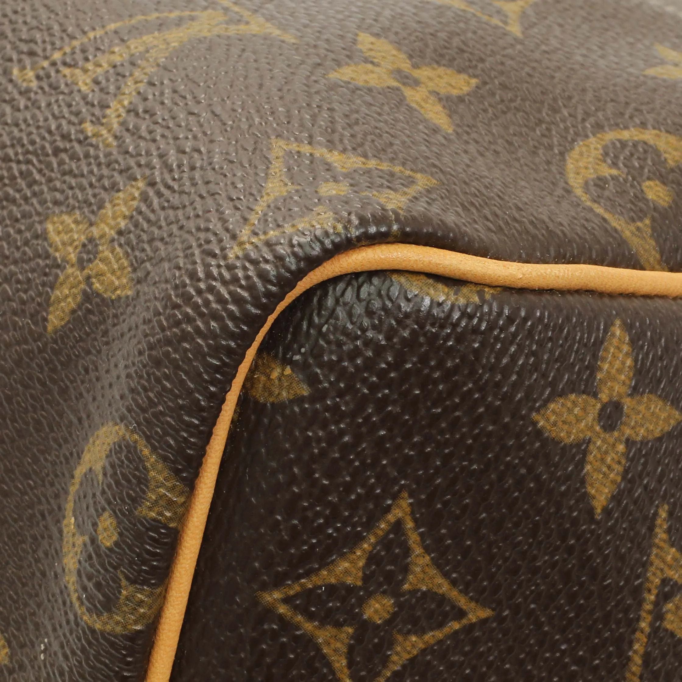 Louis Vuitton Monogram Speedy 25