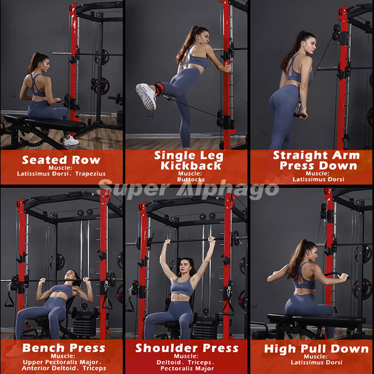 Multi-Functional Smith Machine SP024