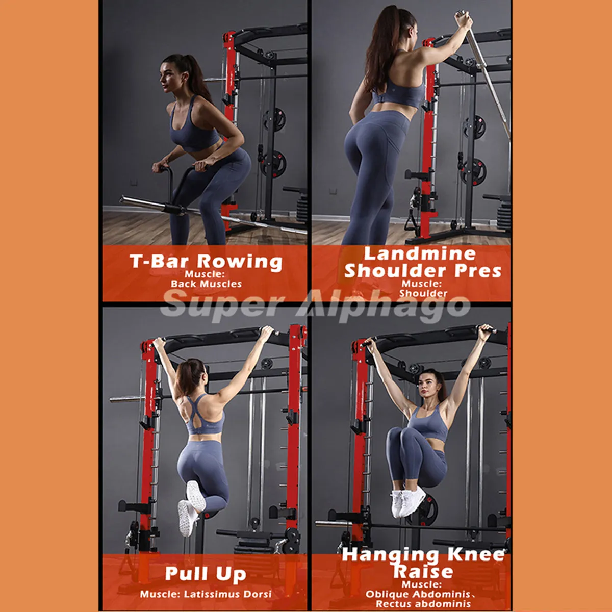 Multi-Functional Smith Machine SP024