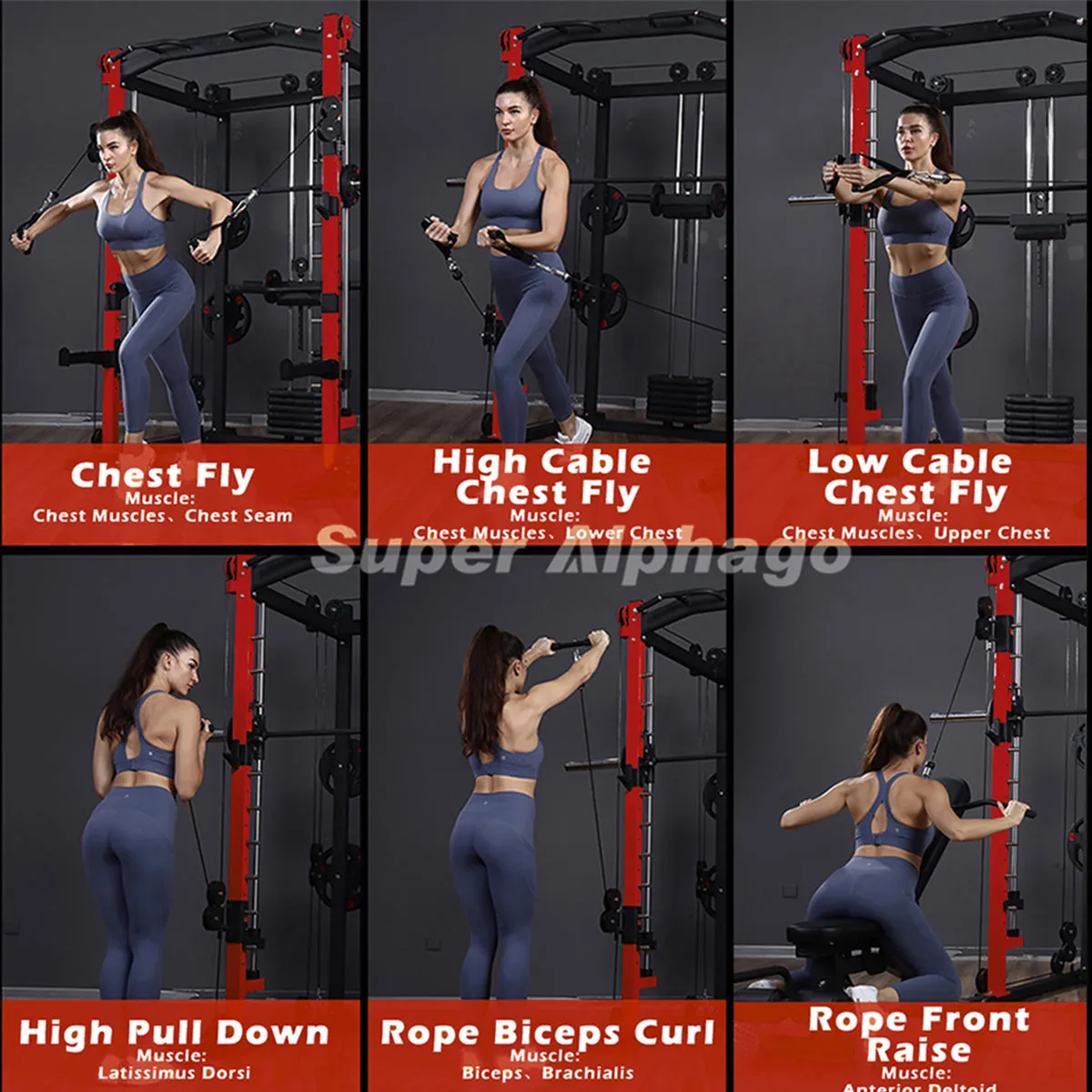 Multi-Functional Smith Machine SP024