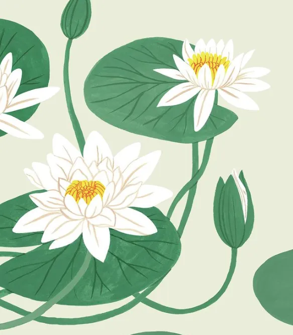 Oana Card, multiple styles