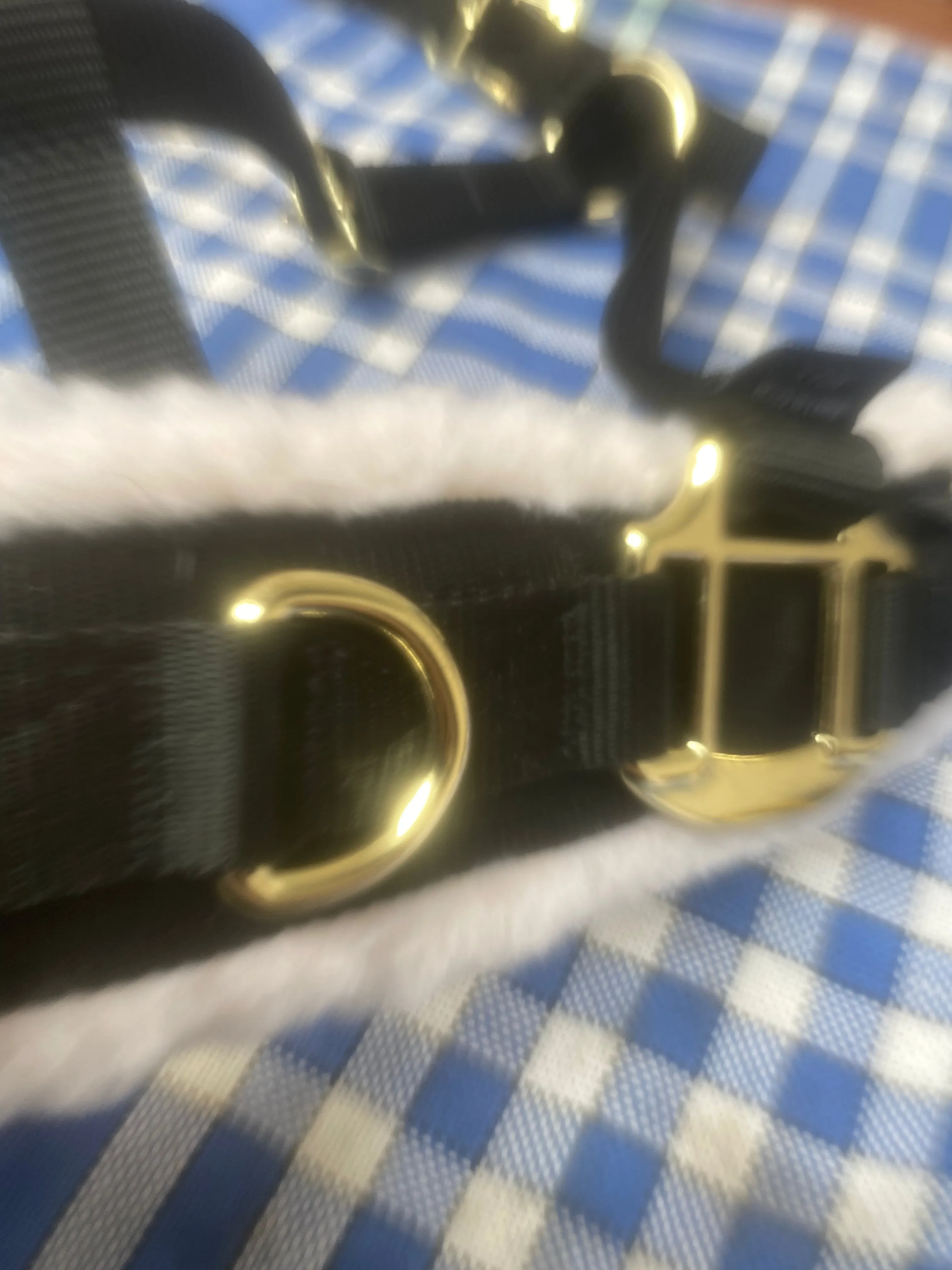 Shires black with brass cavesson headcollar