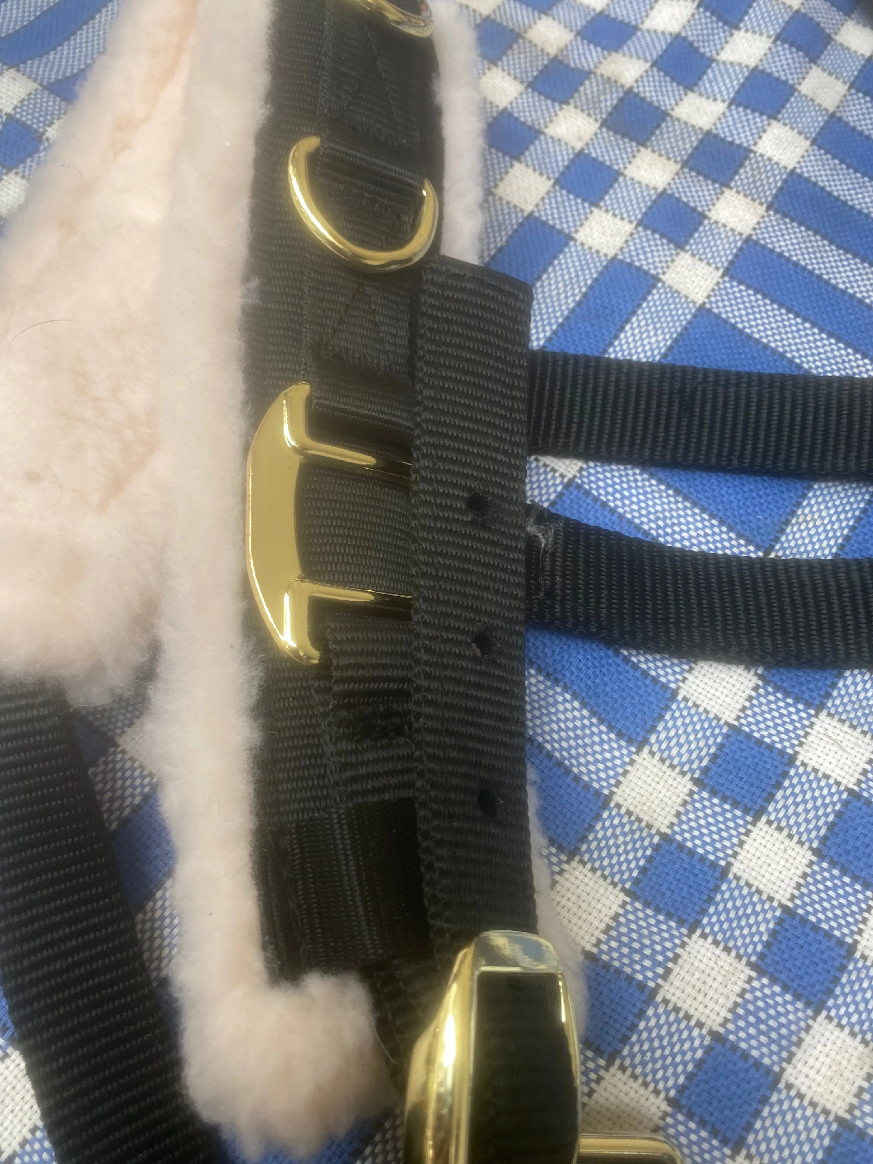 Shires black with brass cavesson headcollar