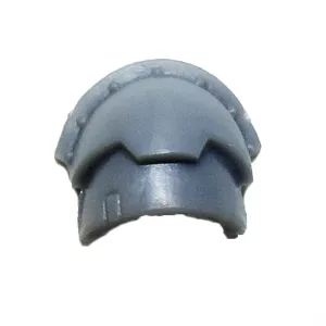 Warhammer 40K Space Marine Shoulder Pad Champion Bits